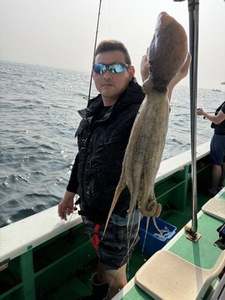 タコ