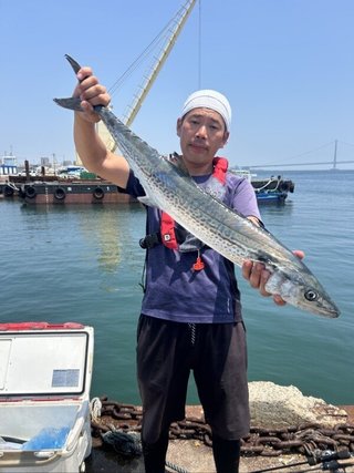 サワラ