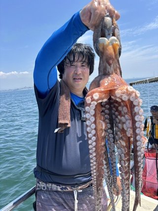 タコ