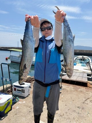 サワラ