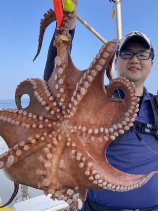 タコ
