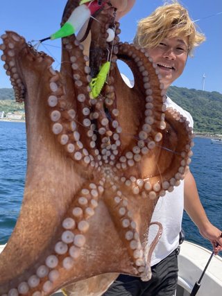 タコ