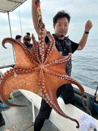 タコ