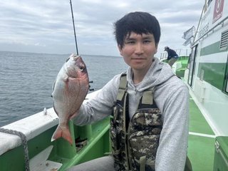 マダイ