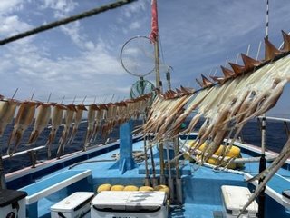 スルメイカ