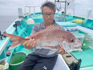 マダイ