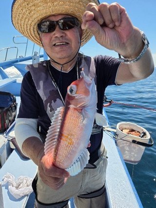 アマダイ