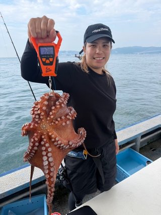 タコ