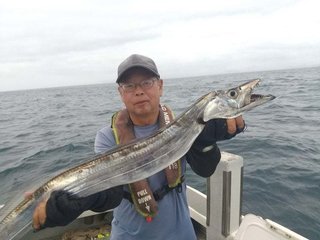 タチウオ