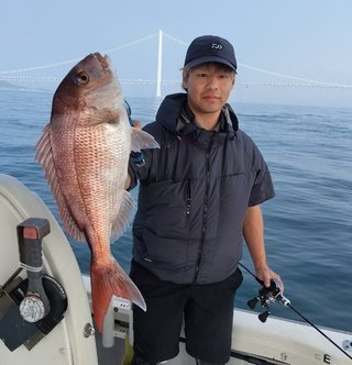 マダイ