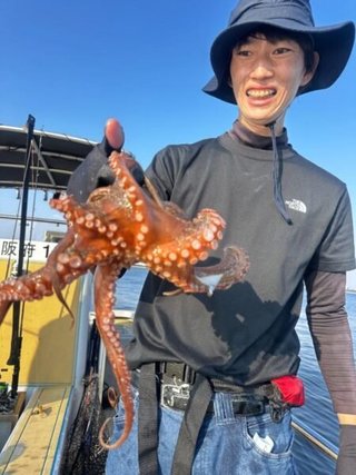タコ