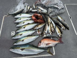アジ