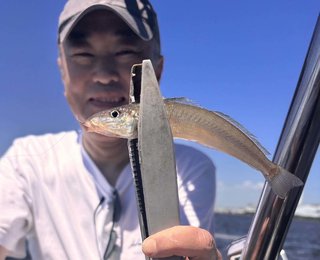 シロギス