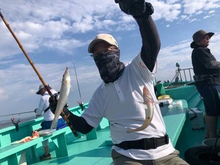 シロギス