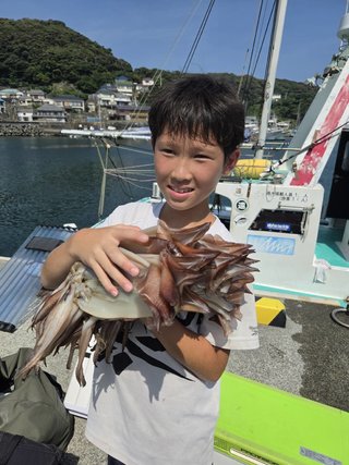 スルメイカ