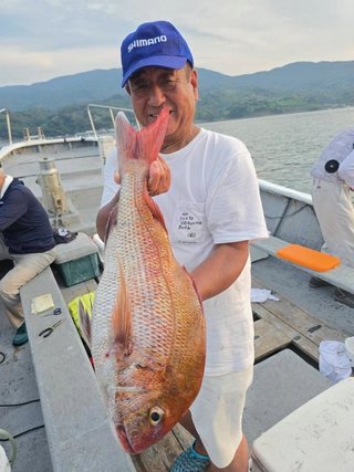 マダイ