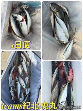 アジ
