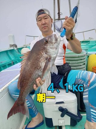 マダイ