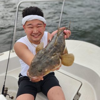 マゴチ