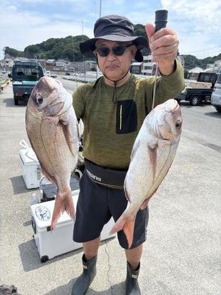 マダイ