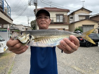 アジ
