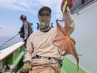 マダコ