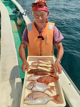 マダイ
