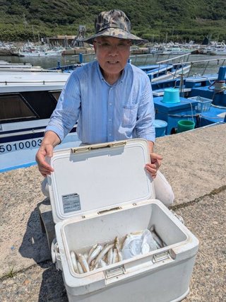 シロギス