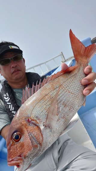マダイ