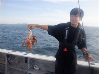タコ