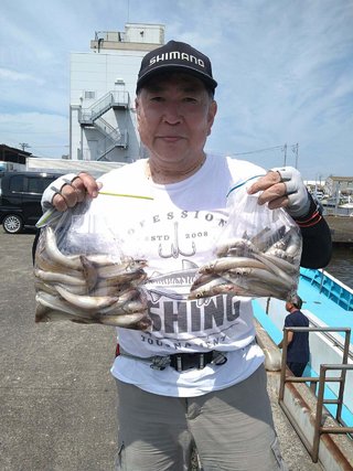 シロギス