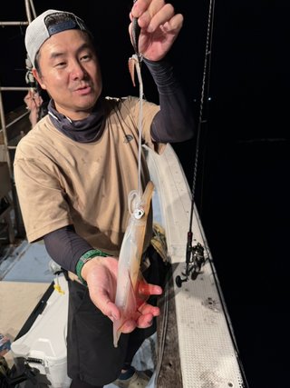 シロイカ