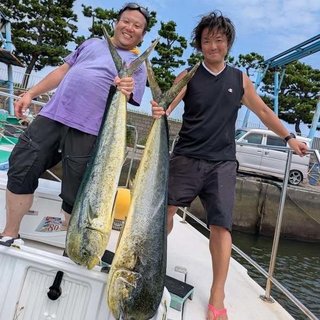 シイラ