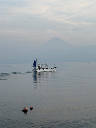アジ