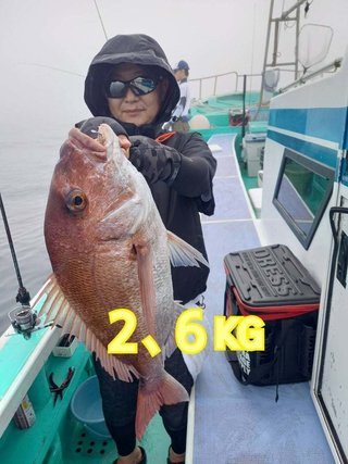 マダイ