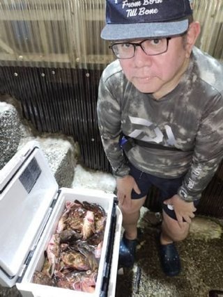 カサゴ