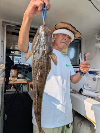マゴチ
