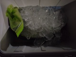 イカ