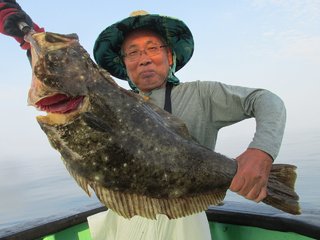 ヒラメ