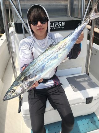 サワラ