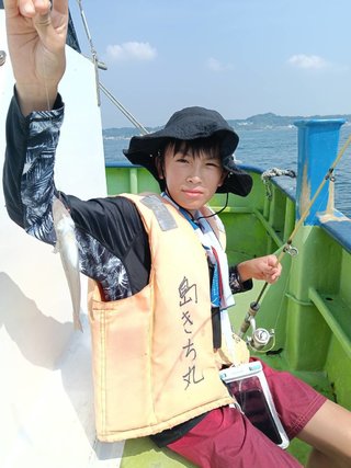 シロギス