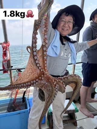 マダコ