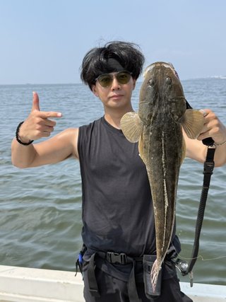 マゴチ
