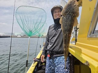 マゴチ