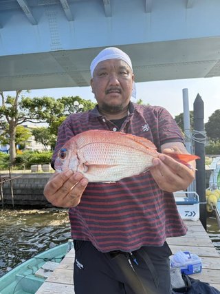 マダイ