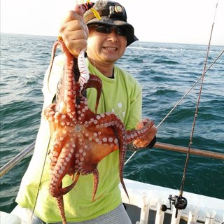 タコ