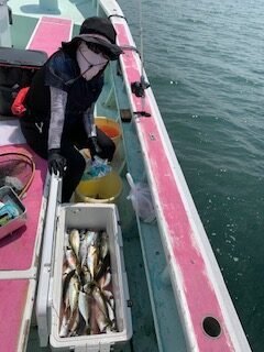 アジ