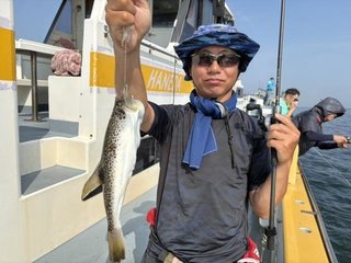 ショウサイフグ