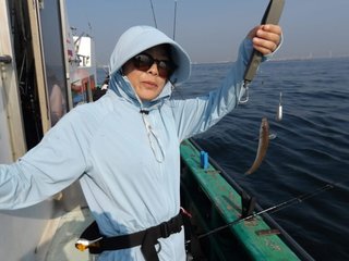 シロギス