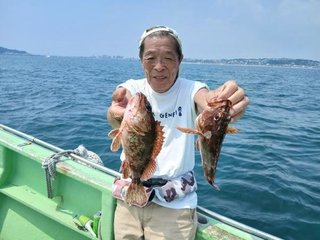 カサゴ